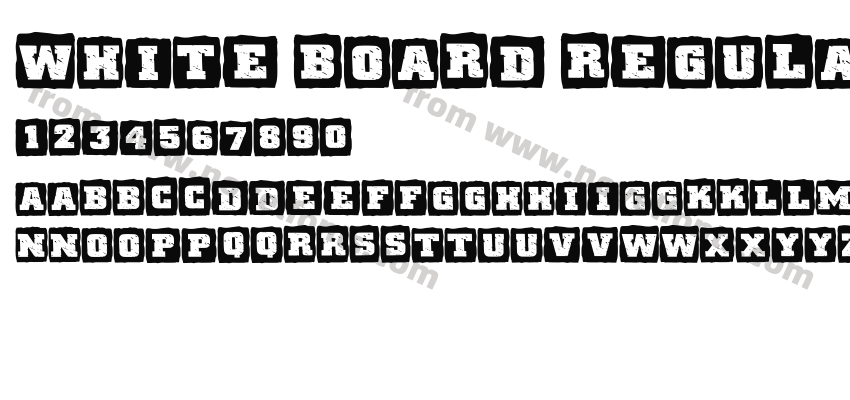 White Board RegularPreview