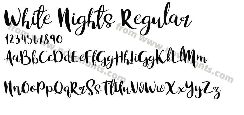 White Nights RegularPreview