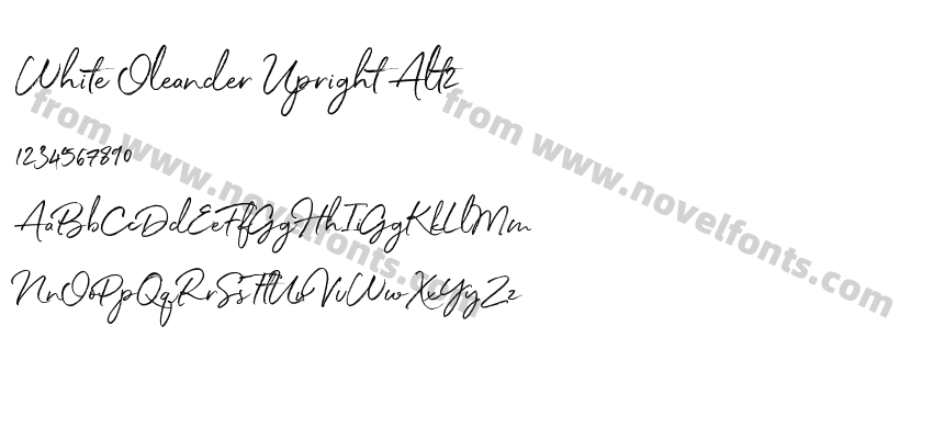 White Oleander Upright Alt2Preview