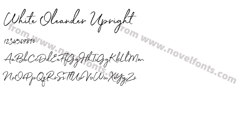 White Oleander UprightPreview