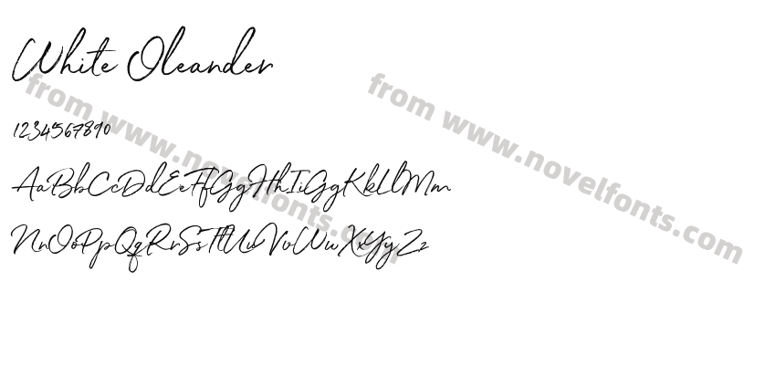 White OleanderPreview