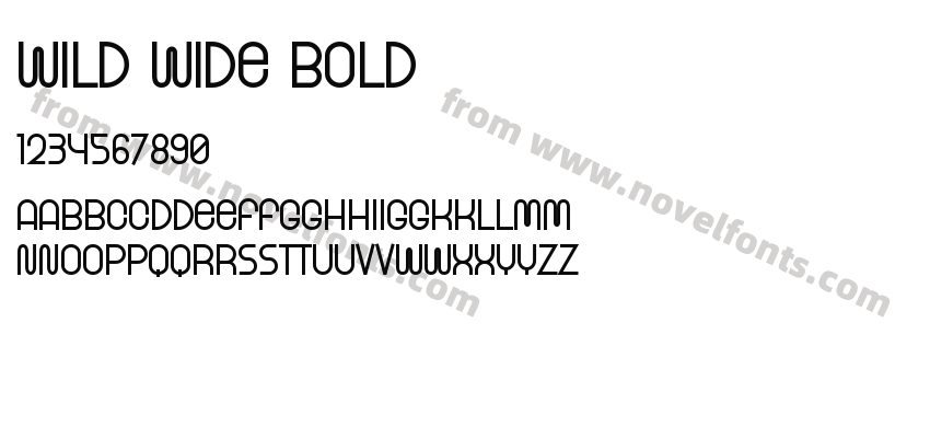 Wild Wide BoldPreview