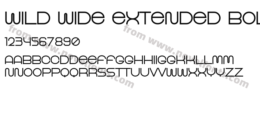 Wild Wide Extended BoldPreview