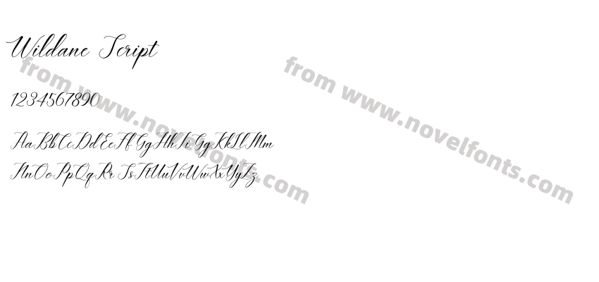 Wildane ScriptPreview
