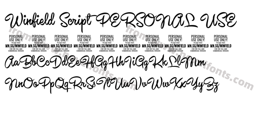 Winfield Script PERSONAL USEPreview
