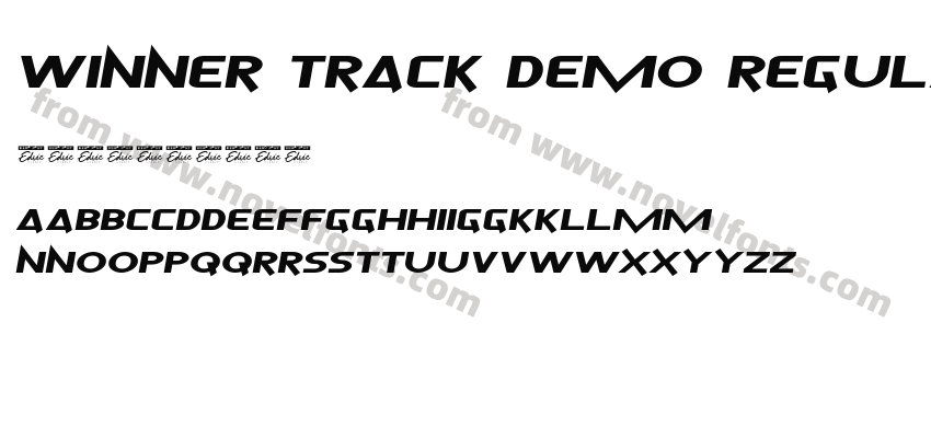 Winner Track Demo RegularPreview