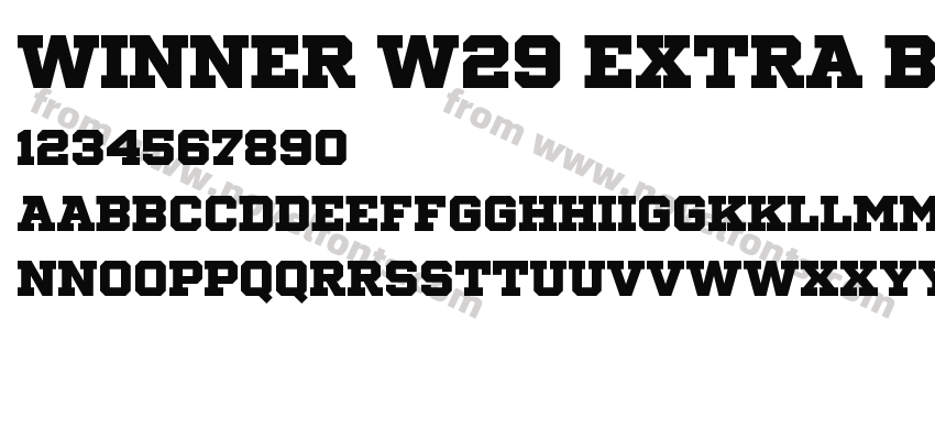 Winner W29 Extra BoldPreview