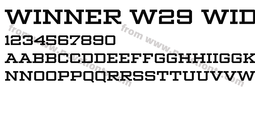 Winner W29 Wide MediumPreview