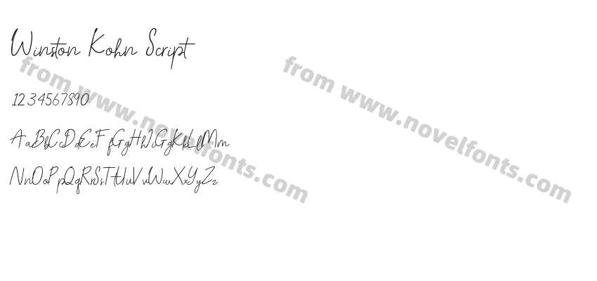 Winston Kohn ScriptPreview