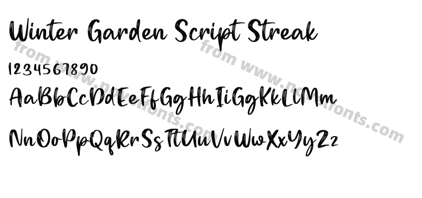 Winter Garden Script StreakPreview