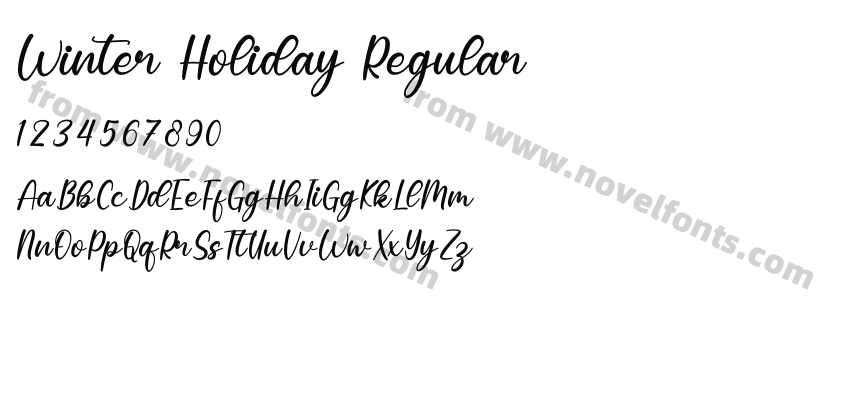 Winter Holiday RegularPreview
