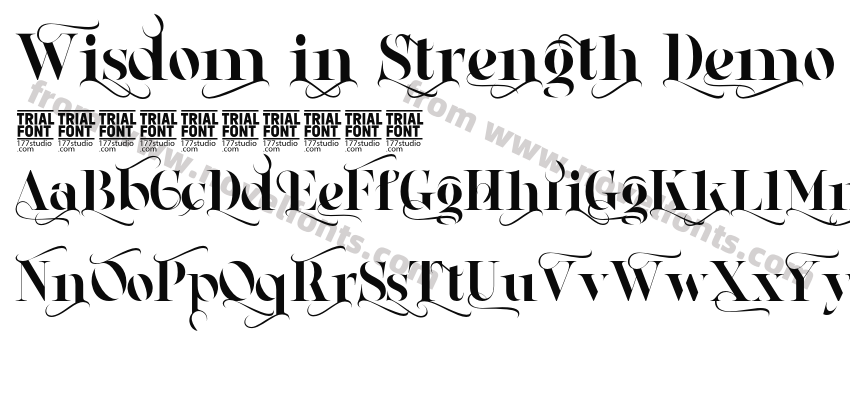 Wisdom in Strength Demo RegularPreview