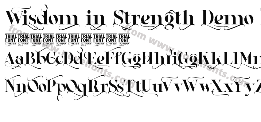 Wisdom in Strength Demo RegularPreview
