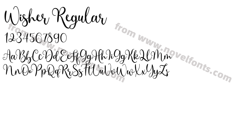 Wisher RegularPreview