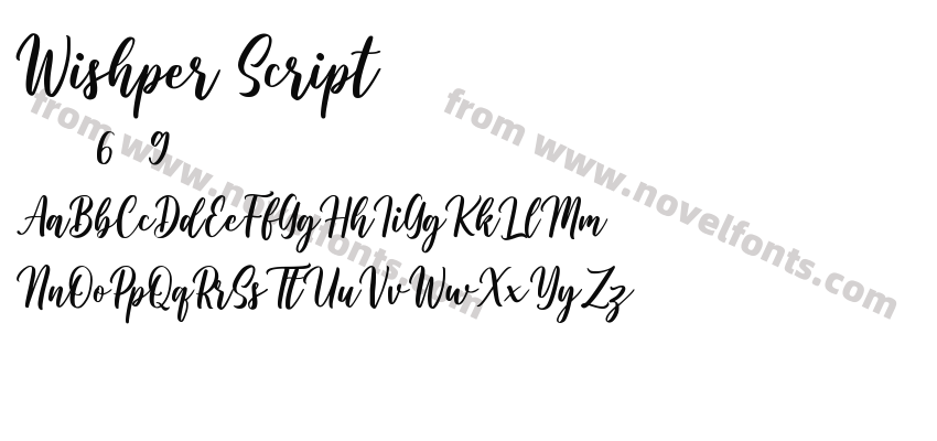 Wishper ScriptPreview