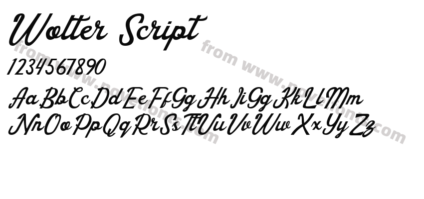 Wolter ScriptPreview