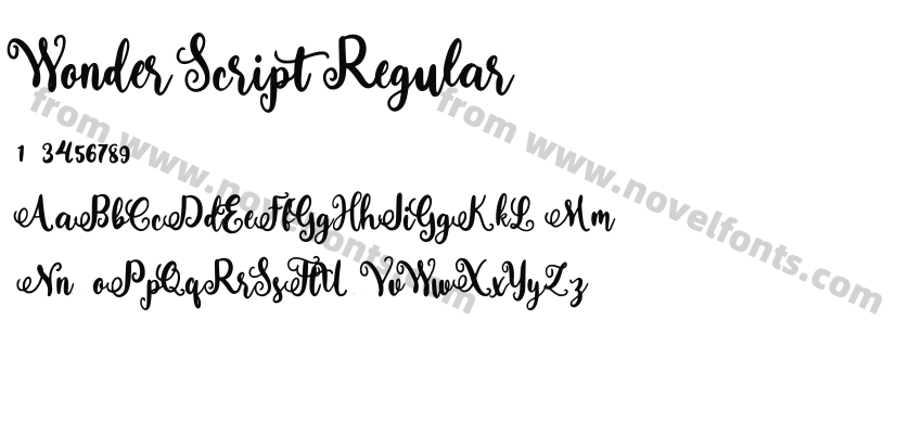 Wonder Script RegularPreview