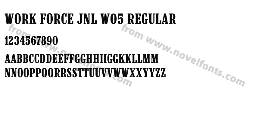 Work Force JNL W05 RegularPreview