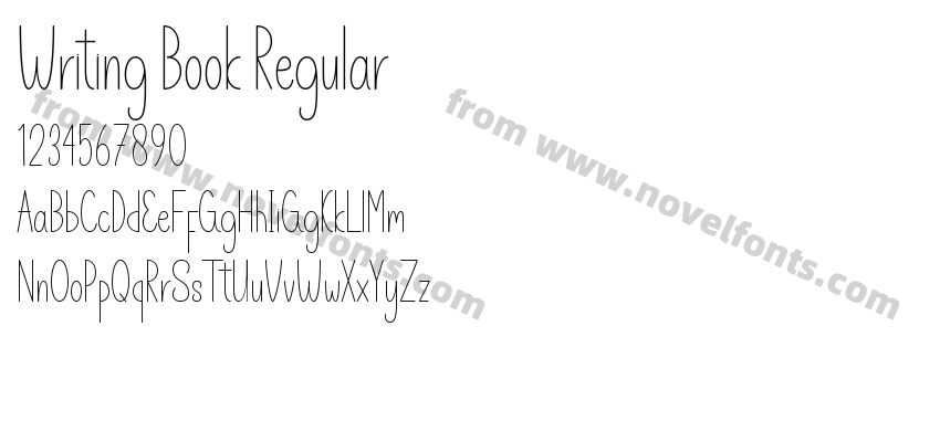 Writing Book RegularPreview