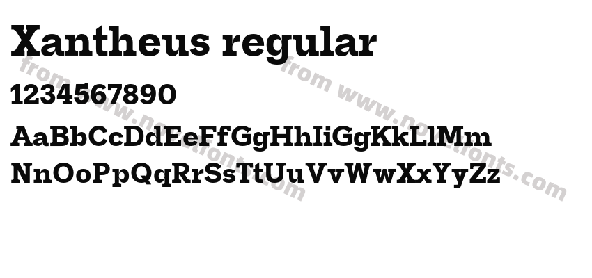 Xantheus regularPreview
