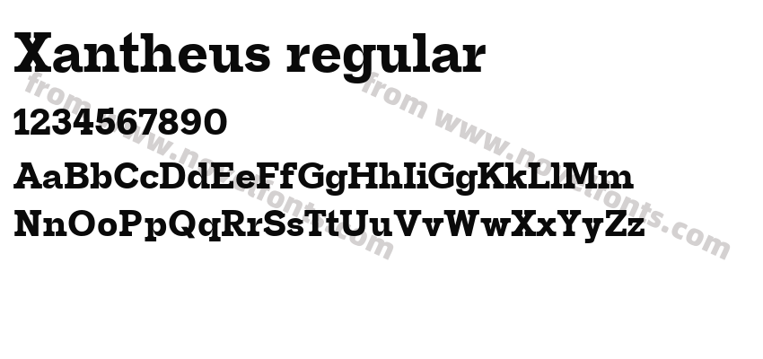 Xantheus regularPreview