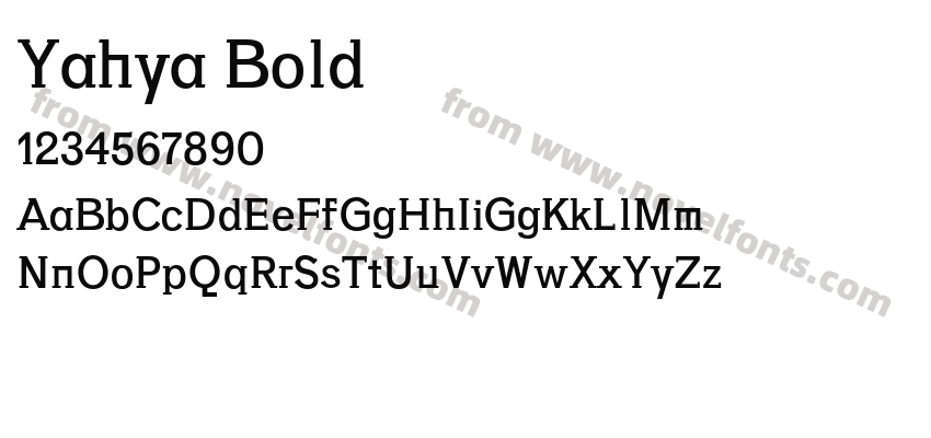 Yahya BoldPreview