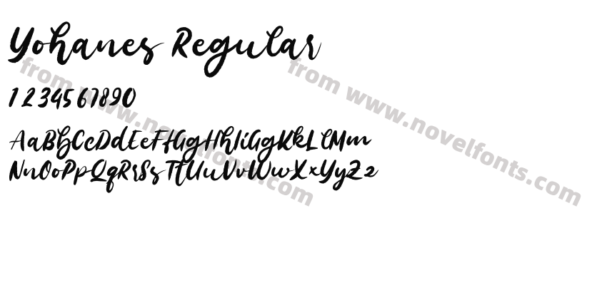 Yohanes RegularPreview