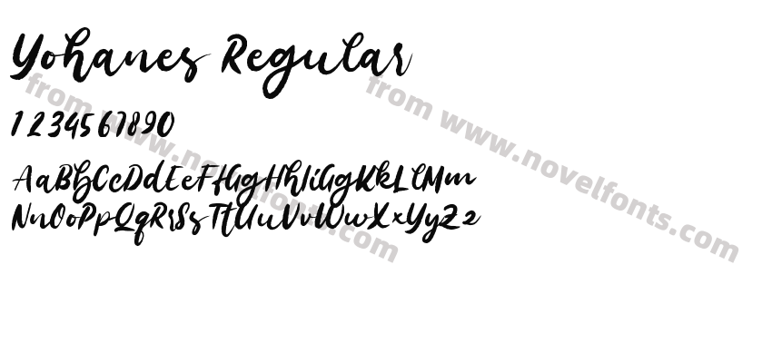 Yohanes RegularPreview