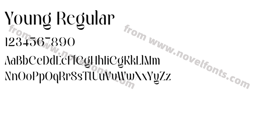 Young RegularPreview
