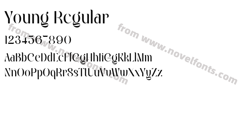 Young RegularPreview