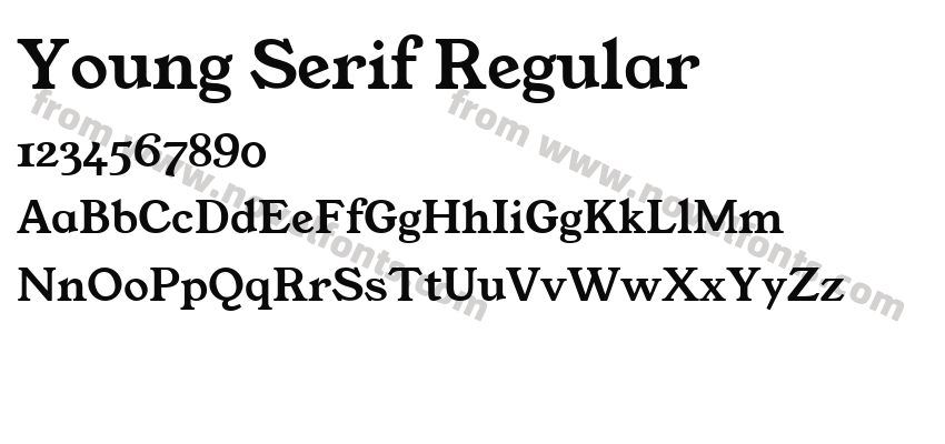 Young Serif RegularPreview