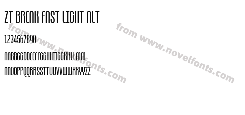 ZT Break Fast Light AltPreview