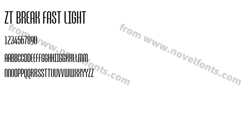 ZT Break Fast LightPreview