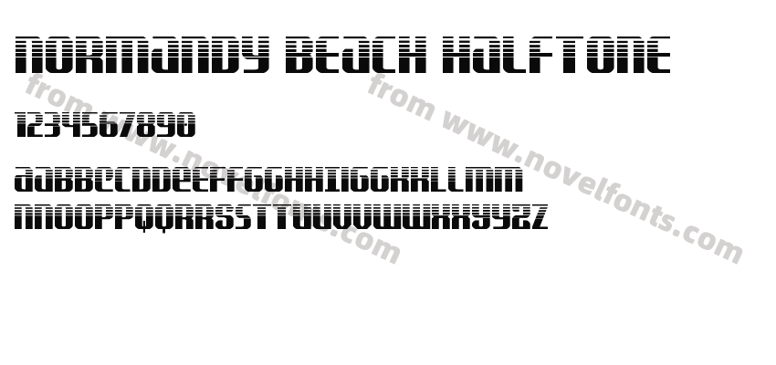 Normandy Beach HalftonePreview