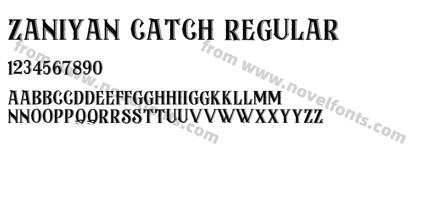 Zaniyan Catch RegularPreview
