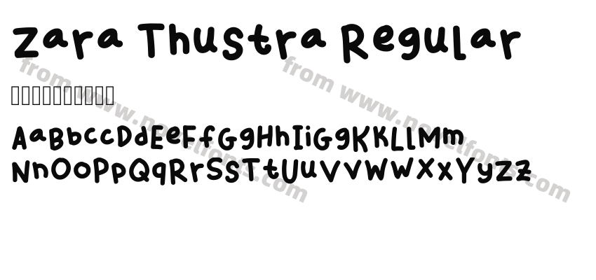 Zara Thustra RegularPreview