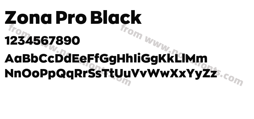 Zona Pro BlackPreview