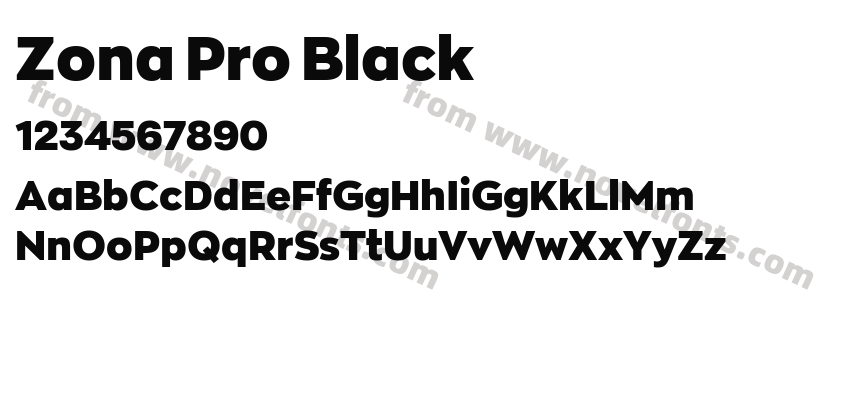 Zona Pro BlackPreview