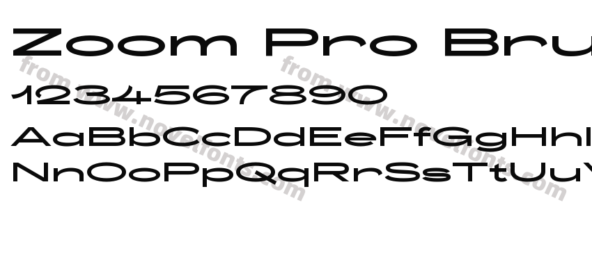 Zoom Pro Brutal MediumPreview