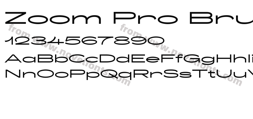 Zoom Pro Brutal RegularPreview