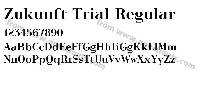 Zukunft Trial RegularPreview