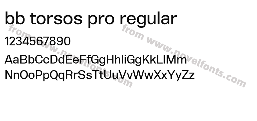 bb torsos pro regularPreview