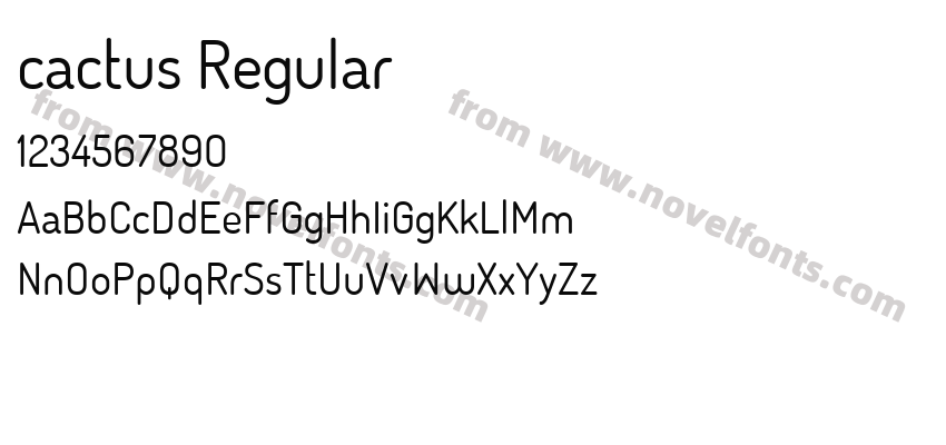 cactus RegularPreview