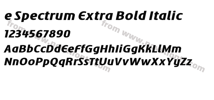 e Spectrum Extra Bold ItalicPreview