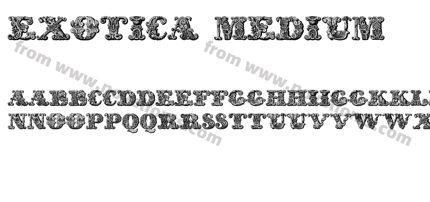 exotica MediumPreview