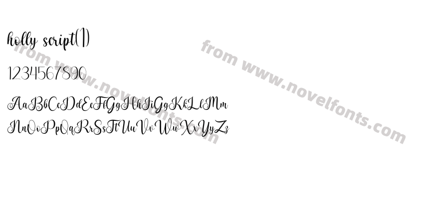 holly scriptPreview