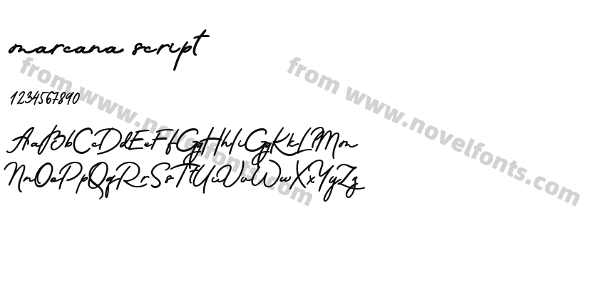 marcana scriptPreview