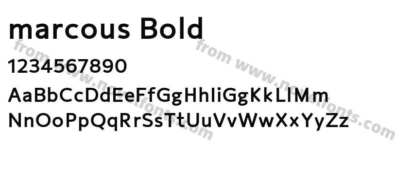 marcous BoldPreview