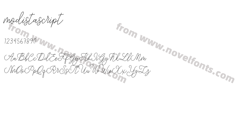 modistascriptPreview