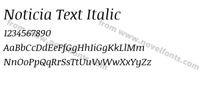 Noticia Text ItalicPreview